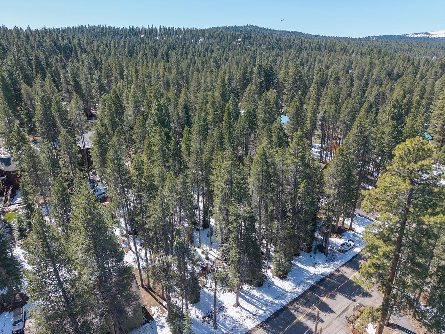 10509 E Alder Creek Road