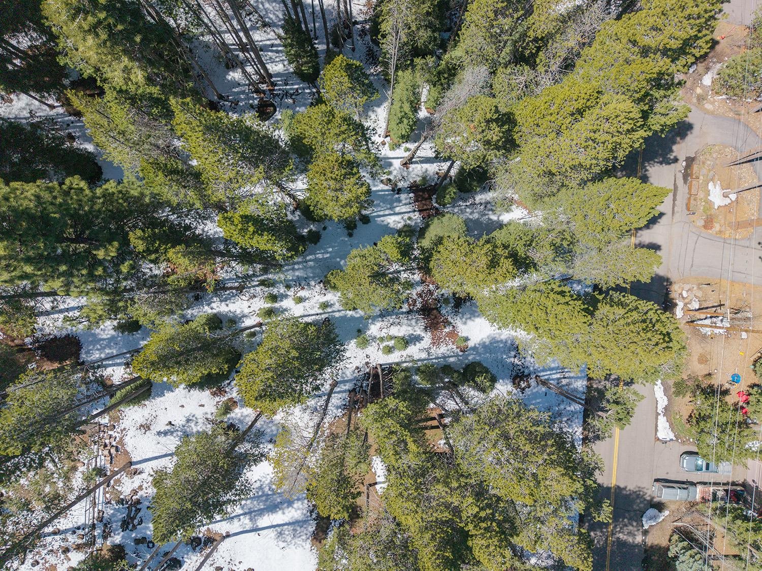 10509 E Alder Creek Road