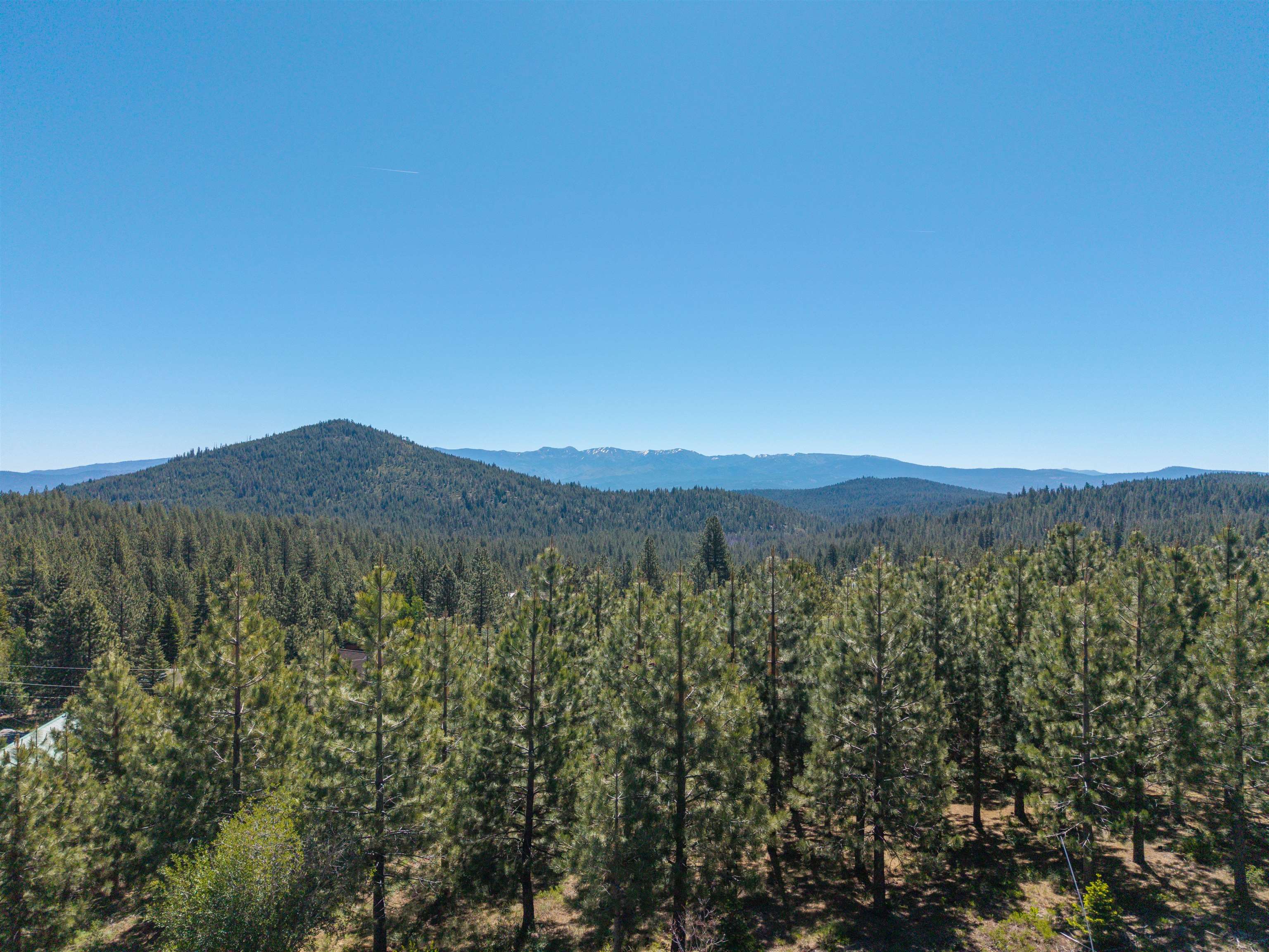 14509 Wolfgang Road