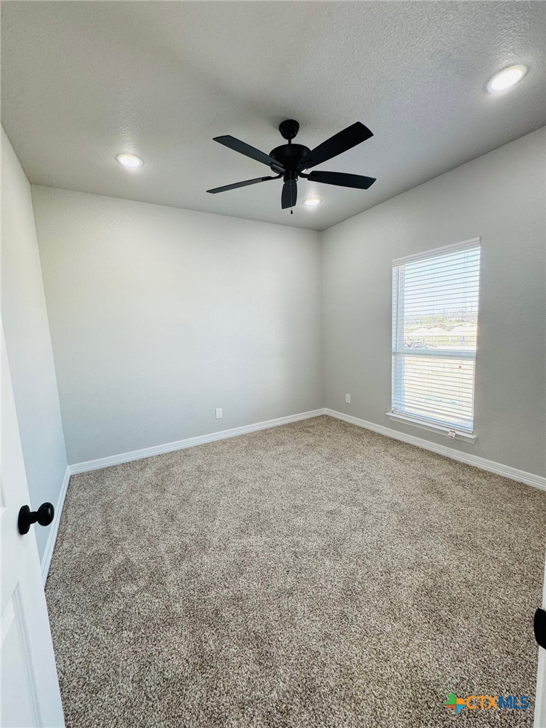 207 Creek Plum Lane