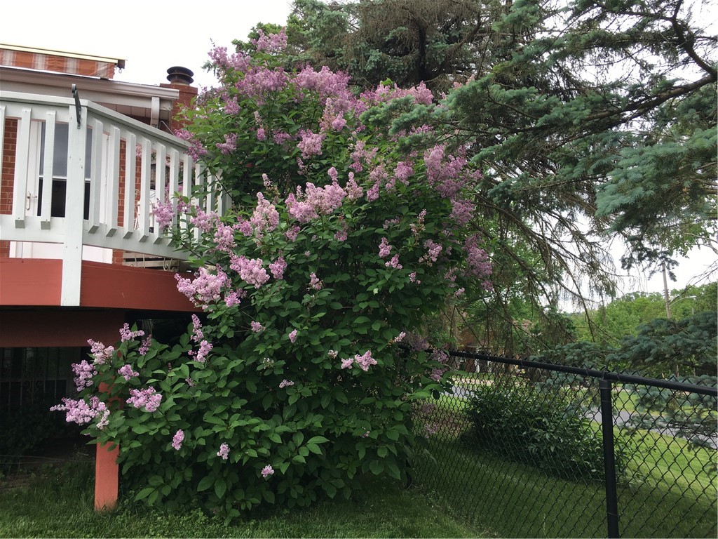 732 Somerville Drive
