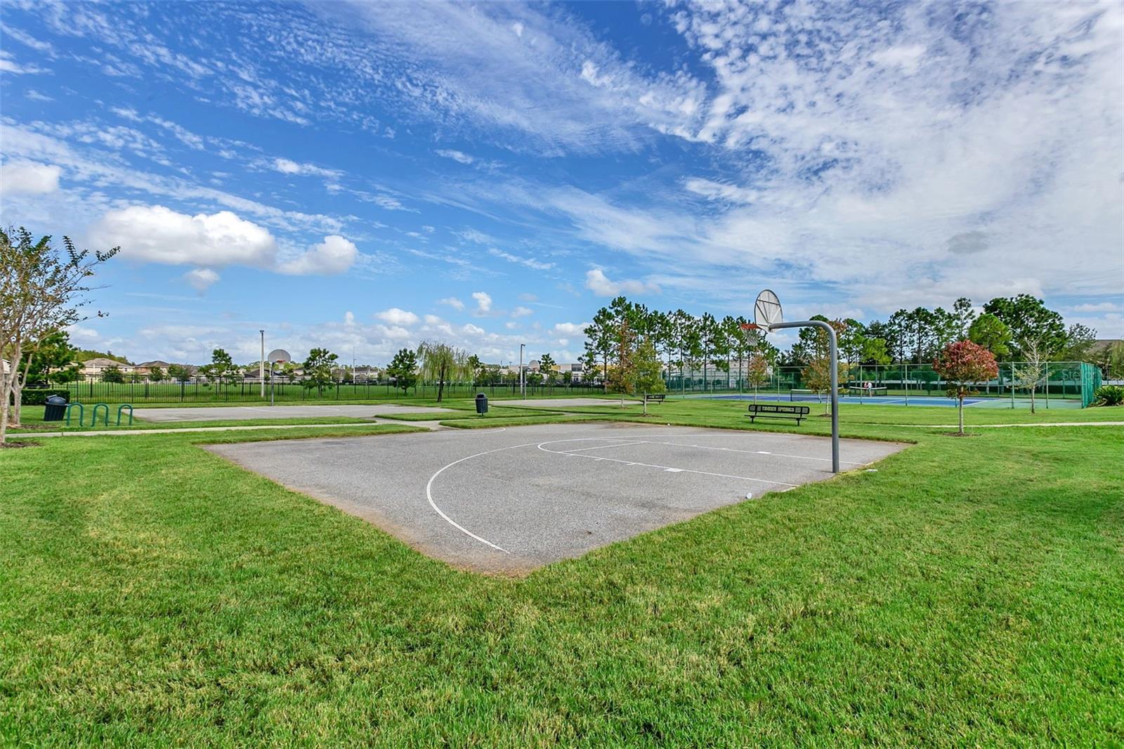 16368 TUDOR GROVE DR