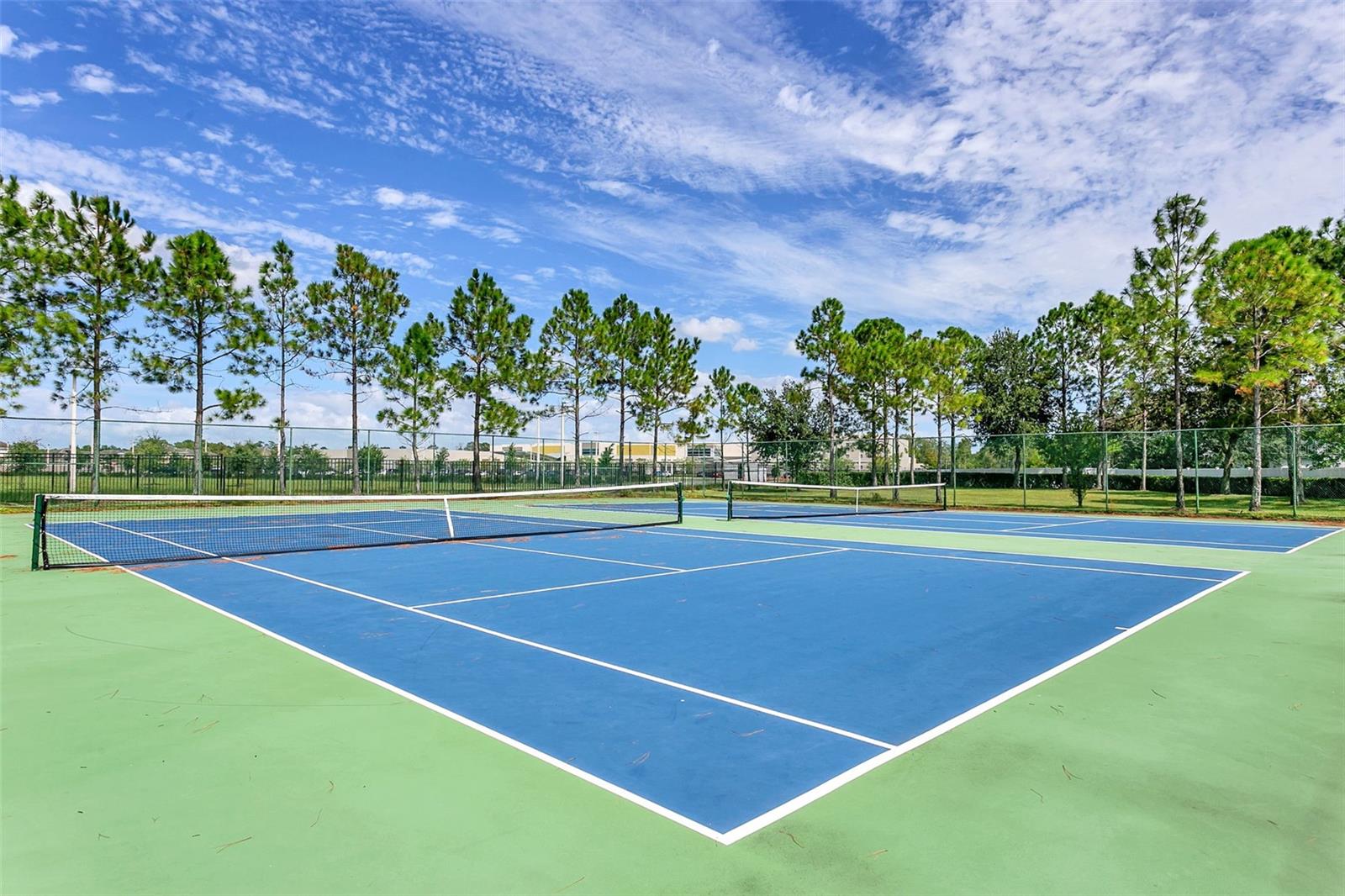 16368 TUDOR GROVE DR