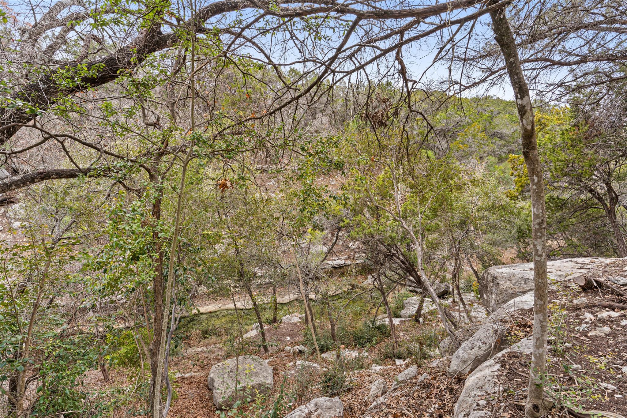 1501 Wild Basin Ledge LDG