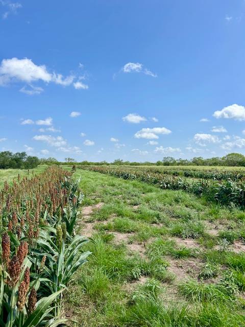 0 I35-access Highway