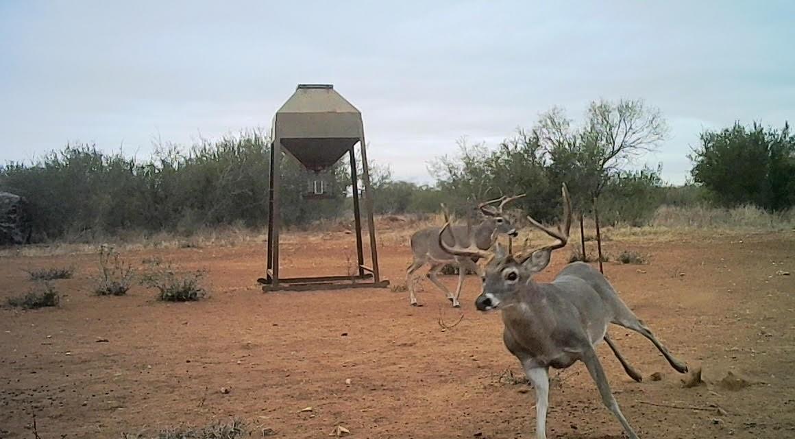 0 I35-access Highway