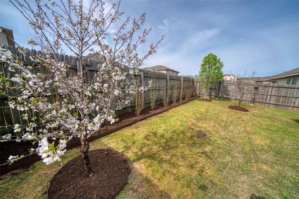 145 Grazing Horse LN