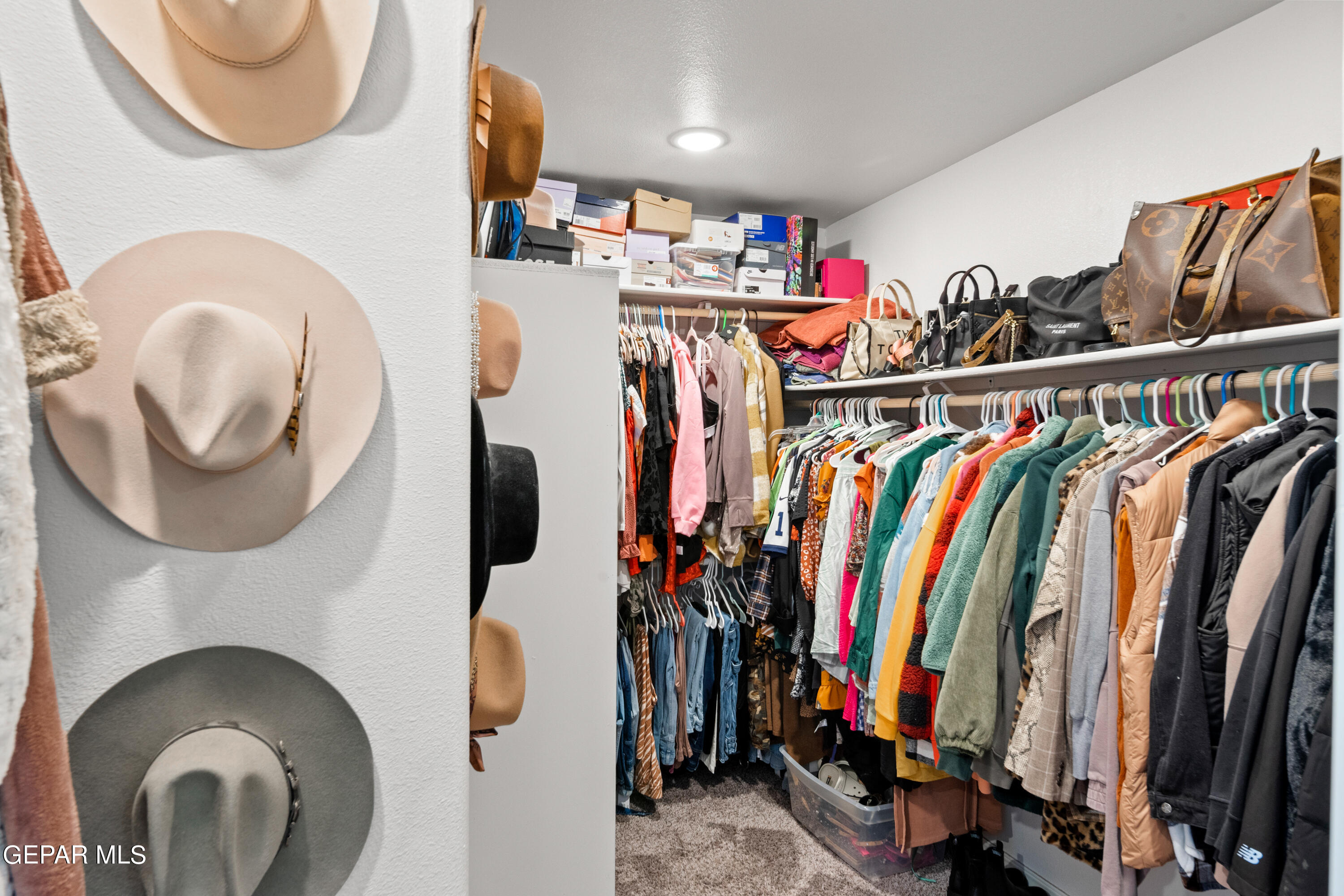 12040 MESQUITE RIVER Drive