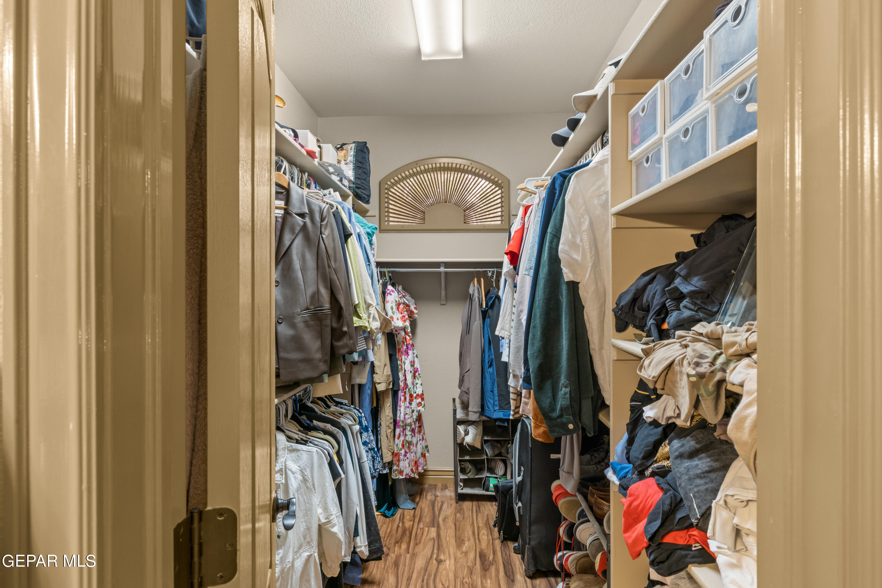 3037 SNOWY POINT Drive