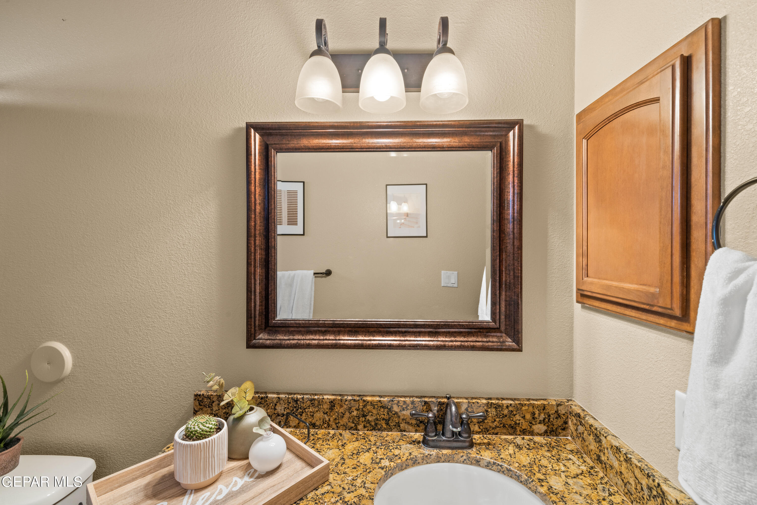 3037 SNOWY POINT Drive