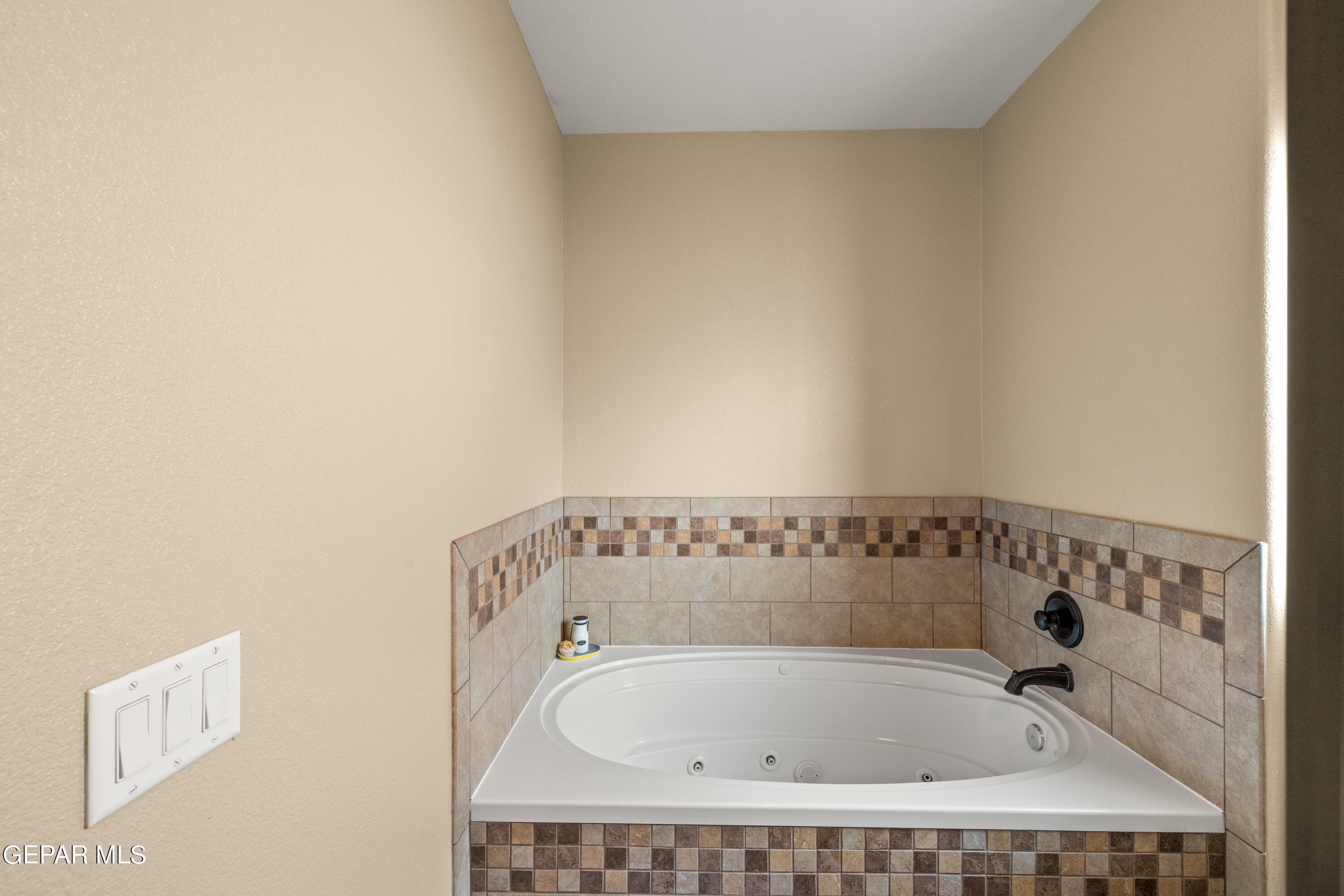 3037 SNOWY POINT Drive