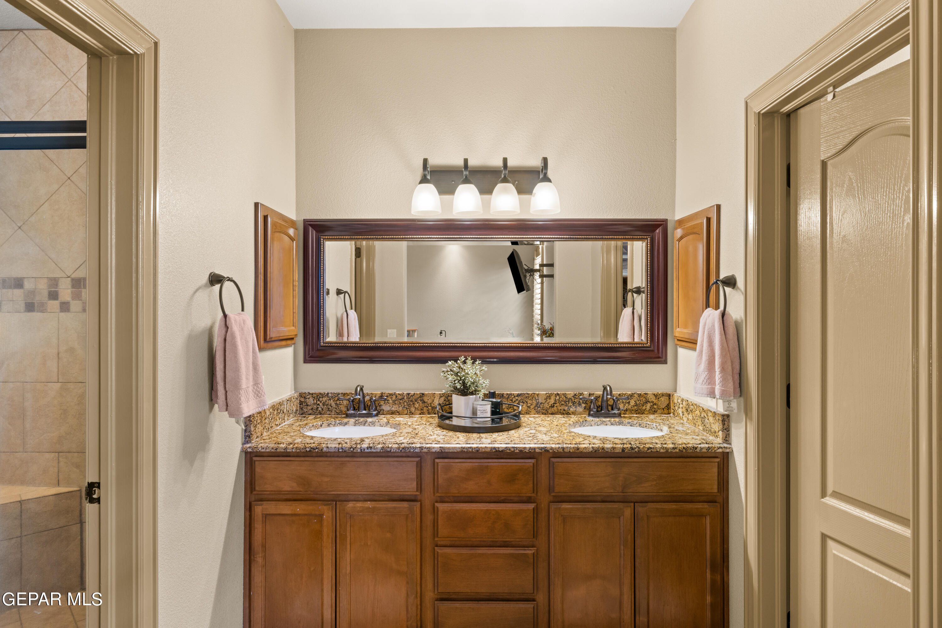 3037 SNOWY POINT Drive