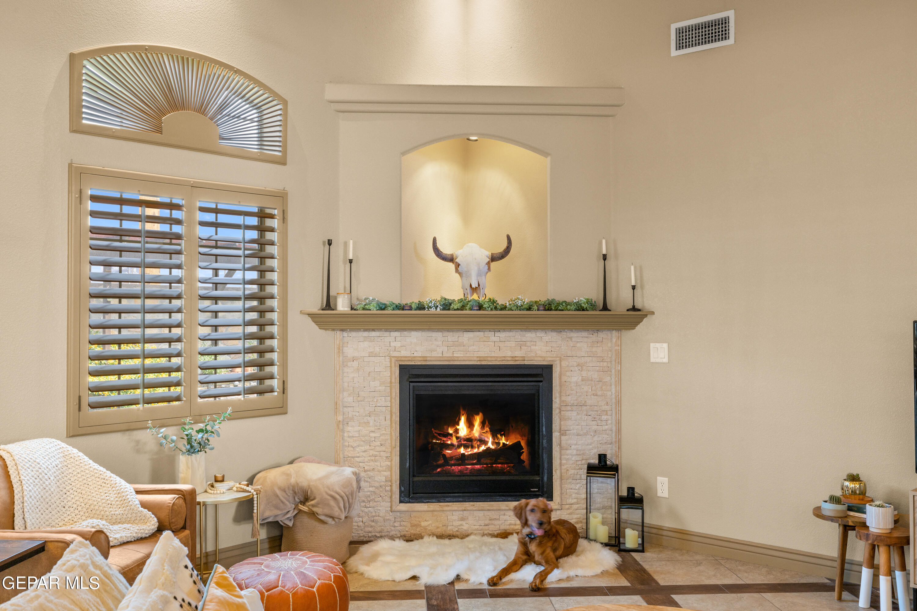 3037 SNOWY POINT Drive