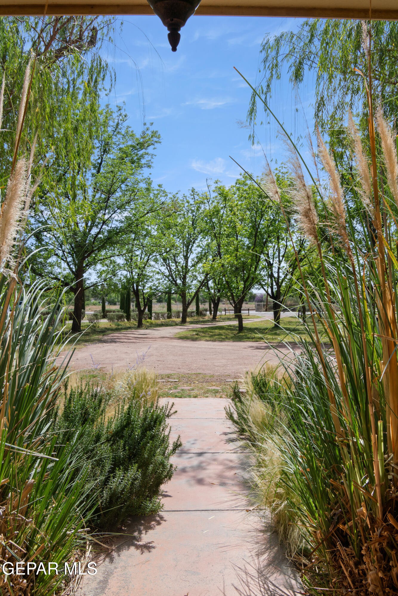 6756 GATO Road