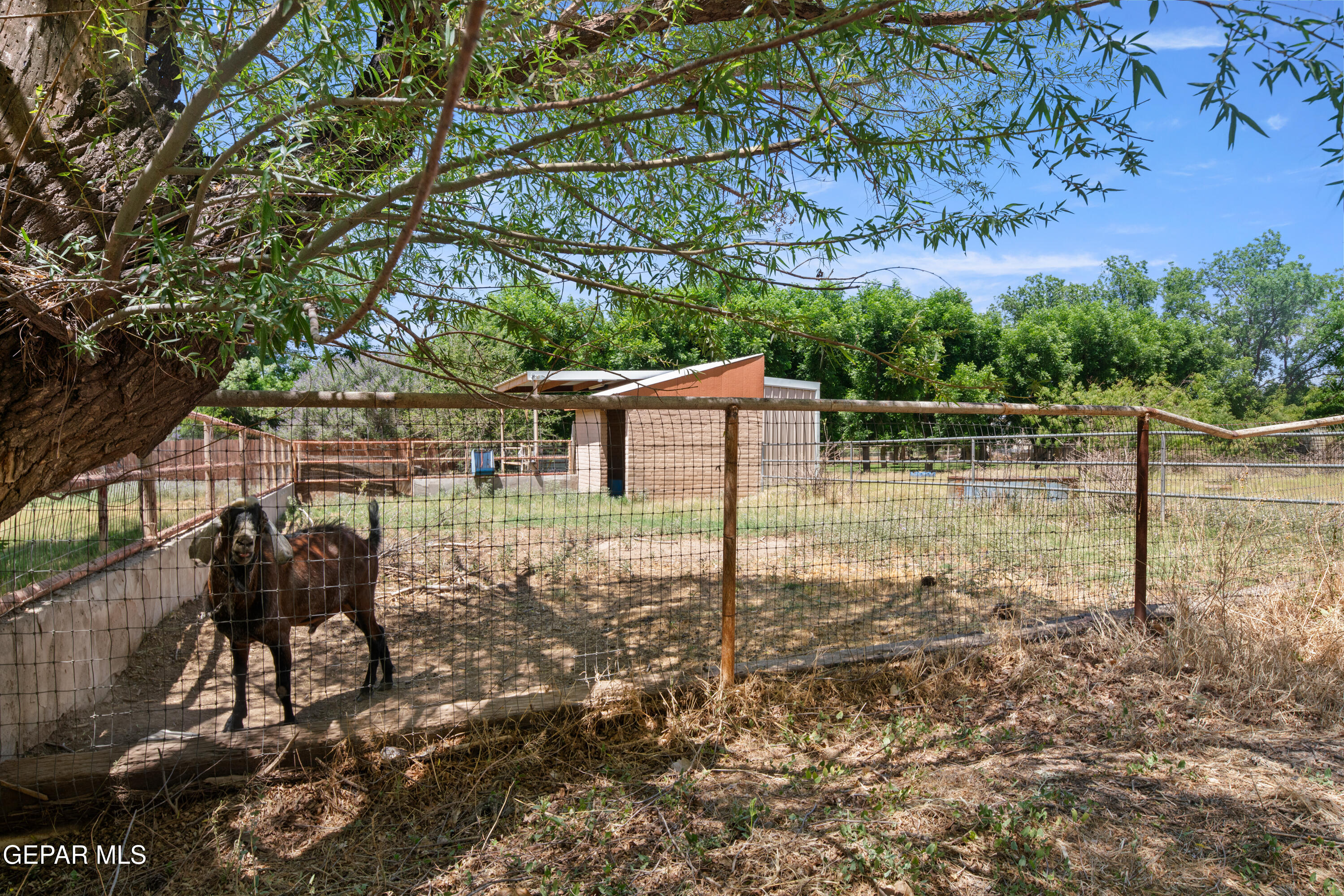 6756 GATO Road