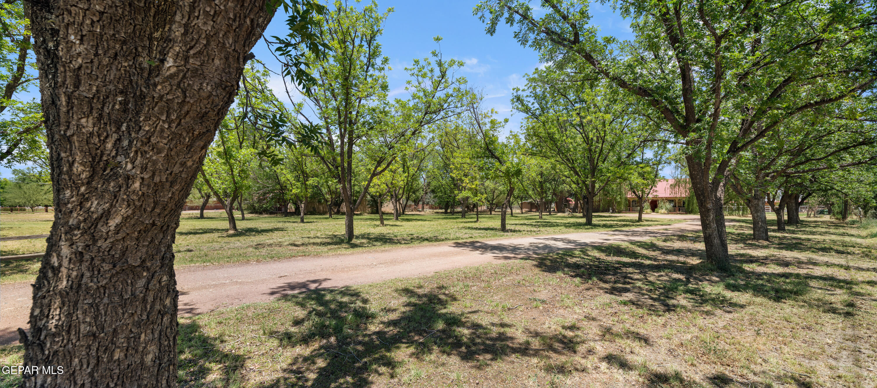 6756 GATO Road