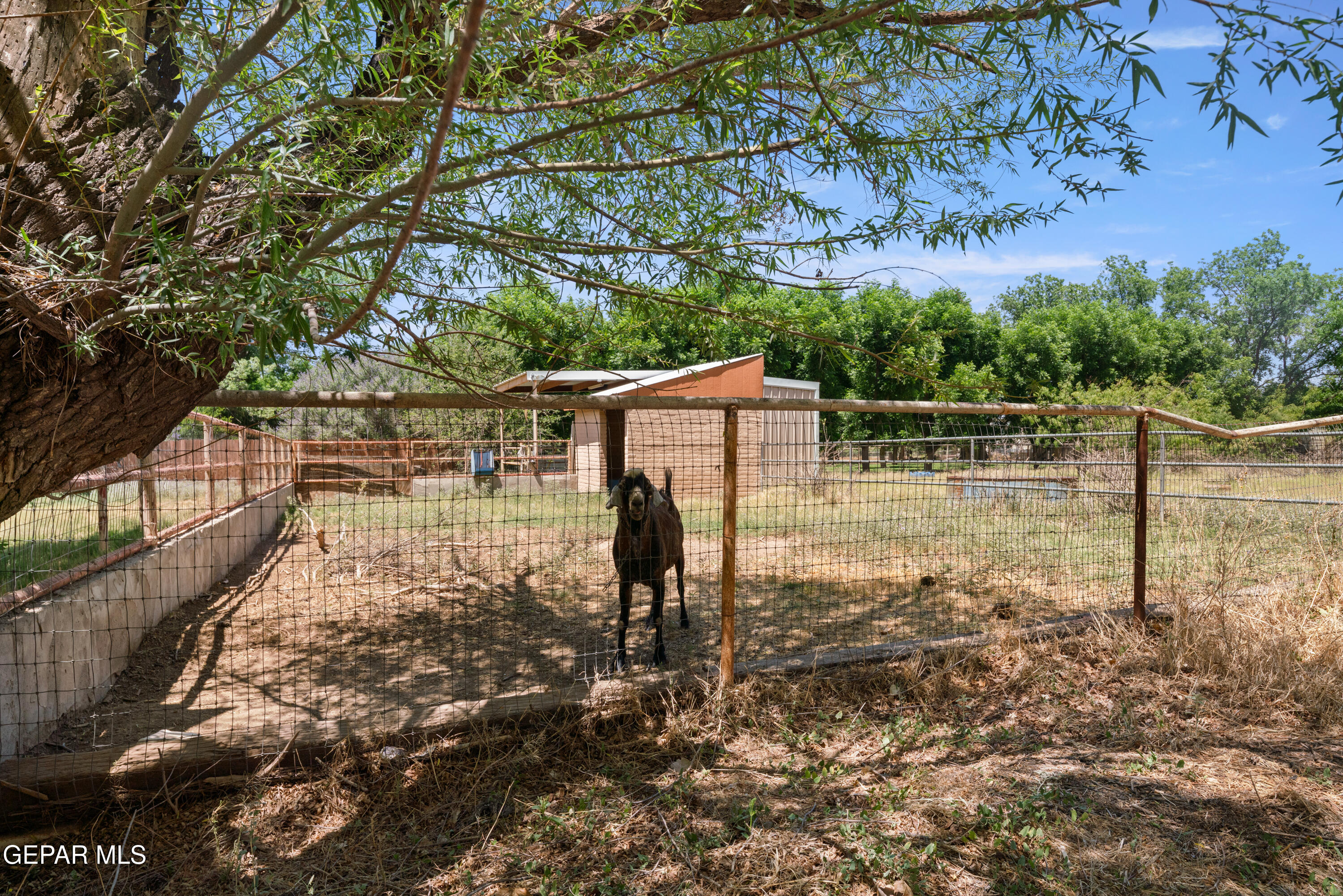 6756 GATO Road
