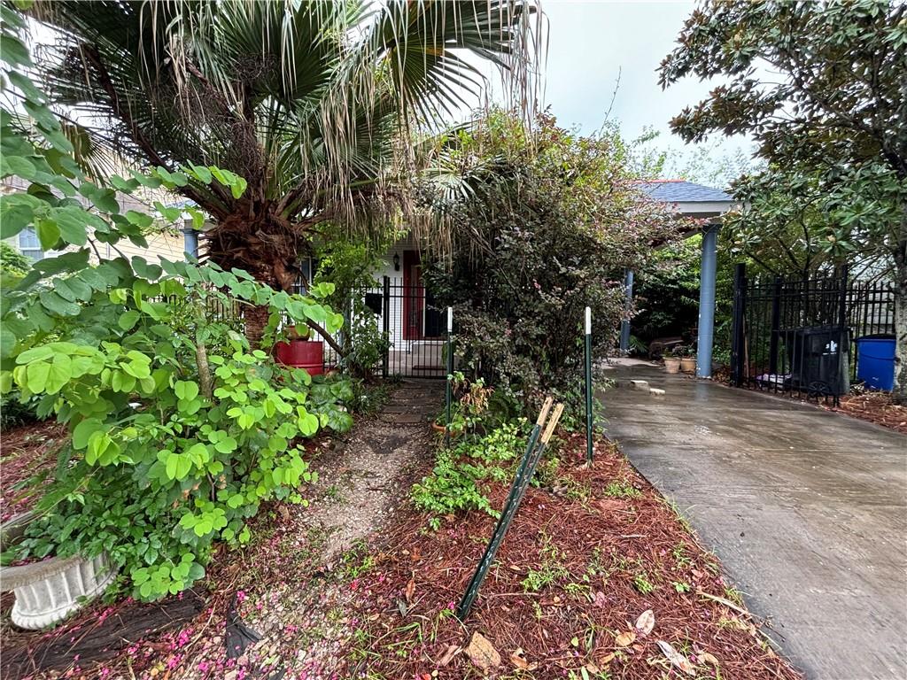 Gated home entrance framed by palms and dense landscaping beside a concrete driveway.