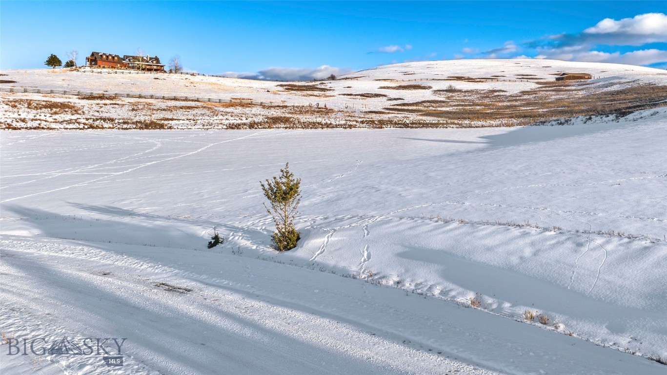Snow-covered vacant lot with rolling hills, a foreground evergreen, and distant buildings.