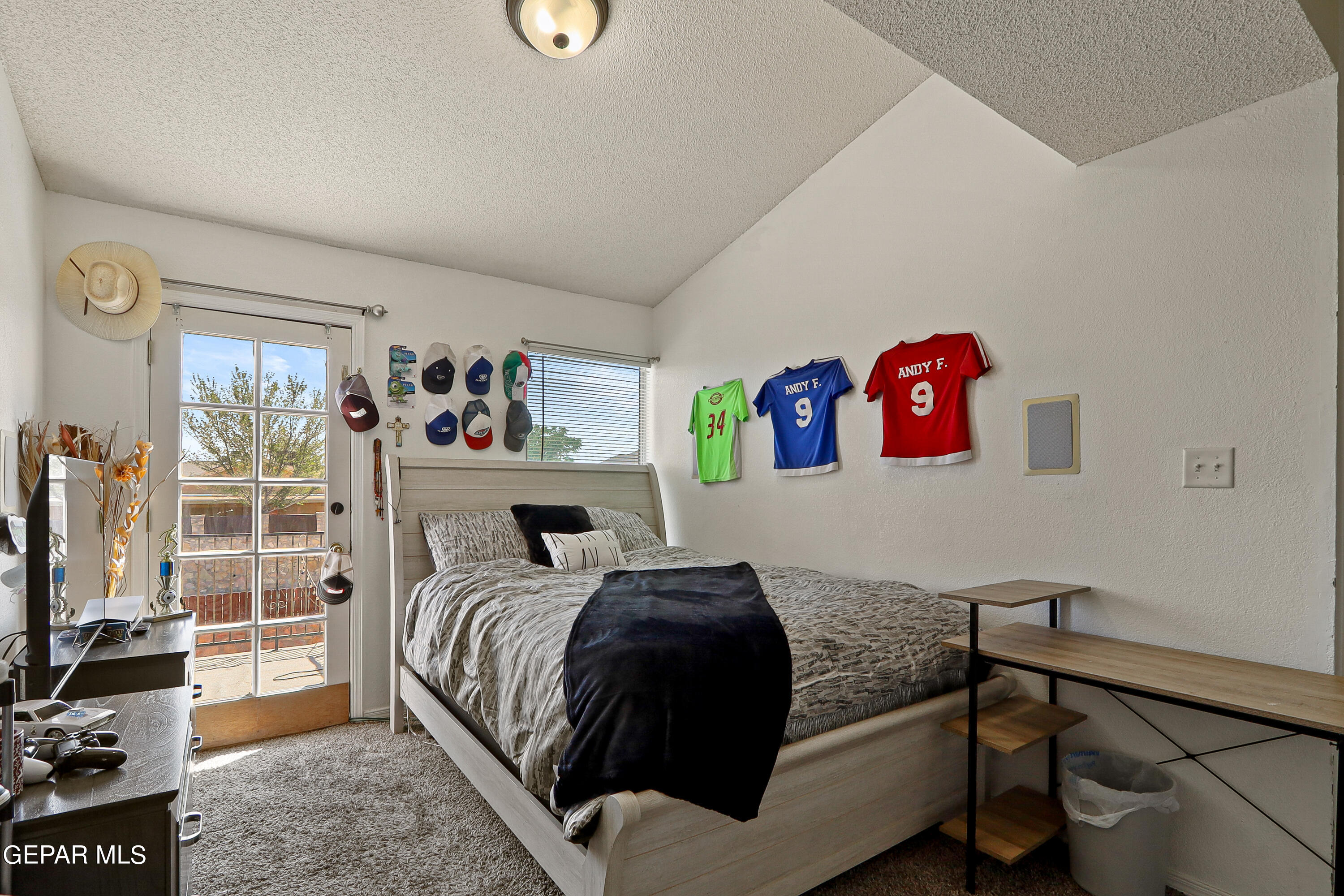 3124 Tierra Agave Drive