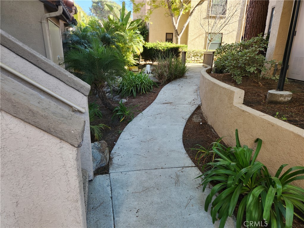 1050 Calle Del Cerro 607