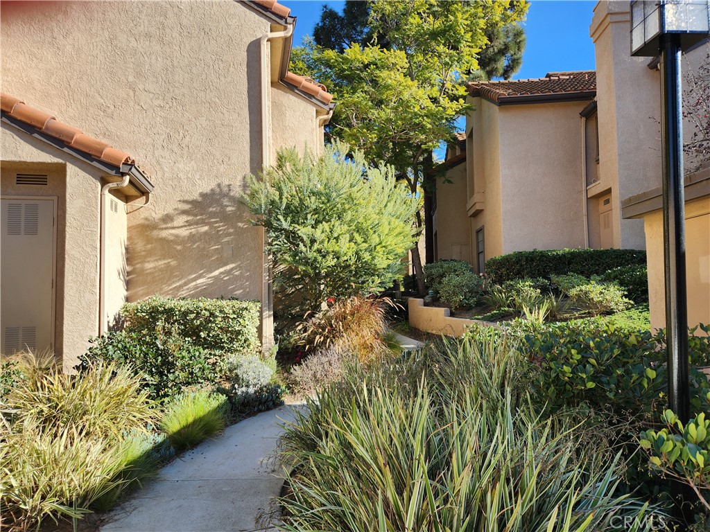 1050 Calle Del Cerro 607