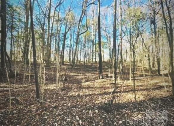 Lot 10 Rock Chimney Circle