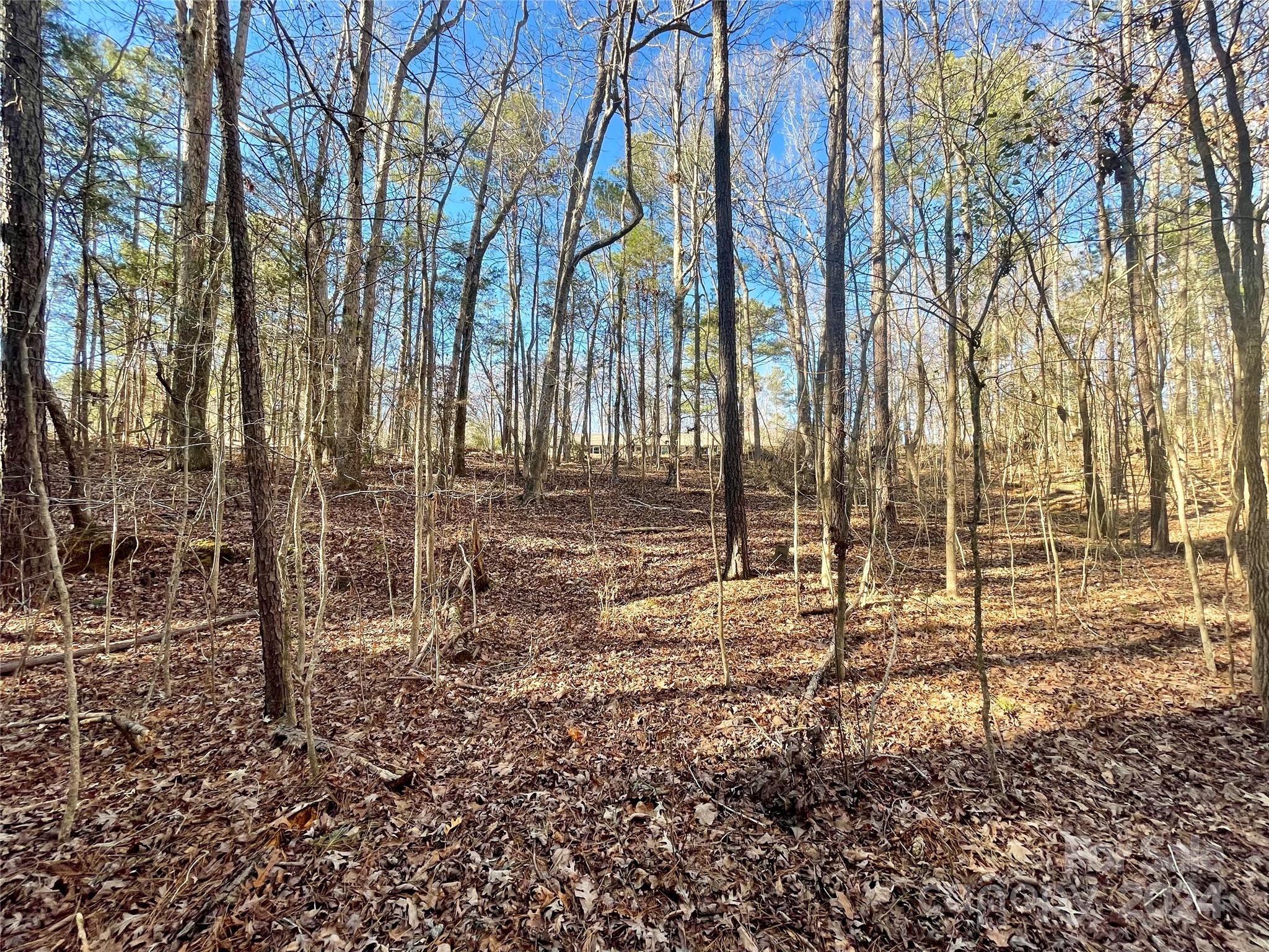 Lot 10 Rock Chimney Circle