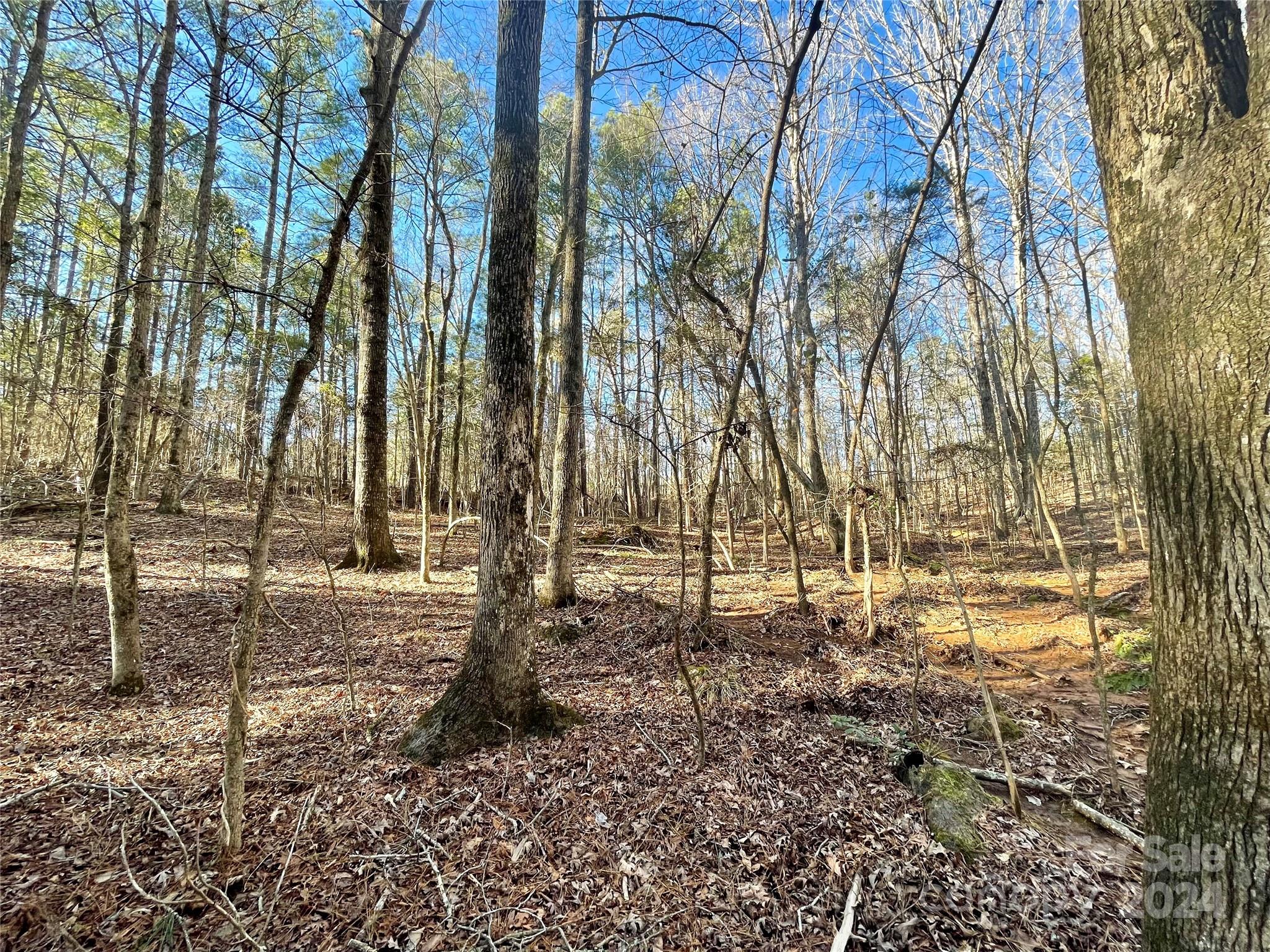 Lot 10 Rock Chimney Circle