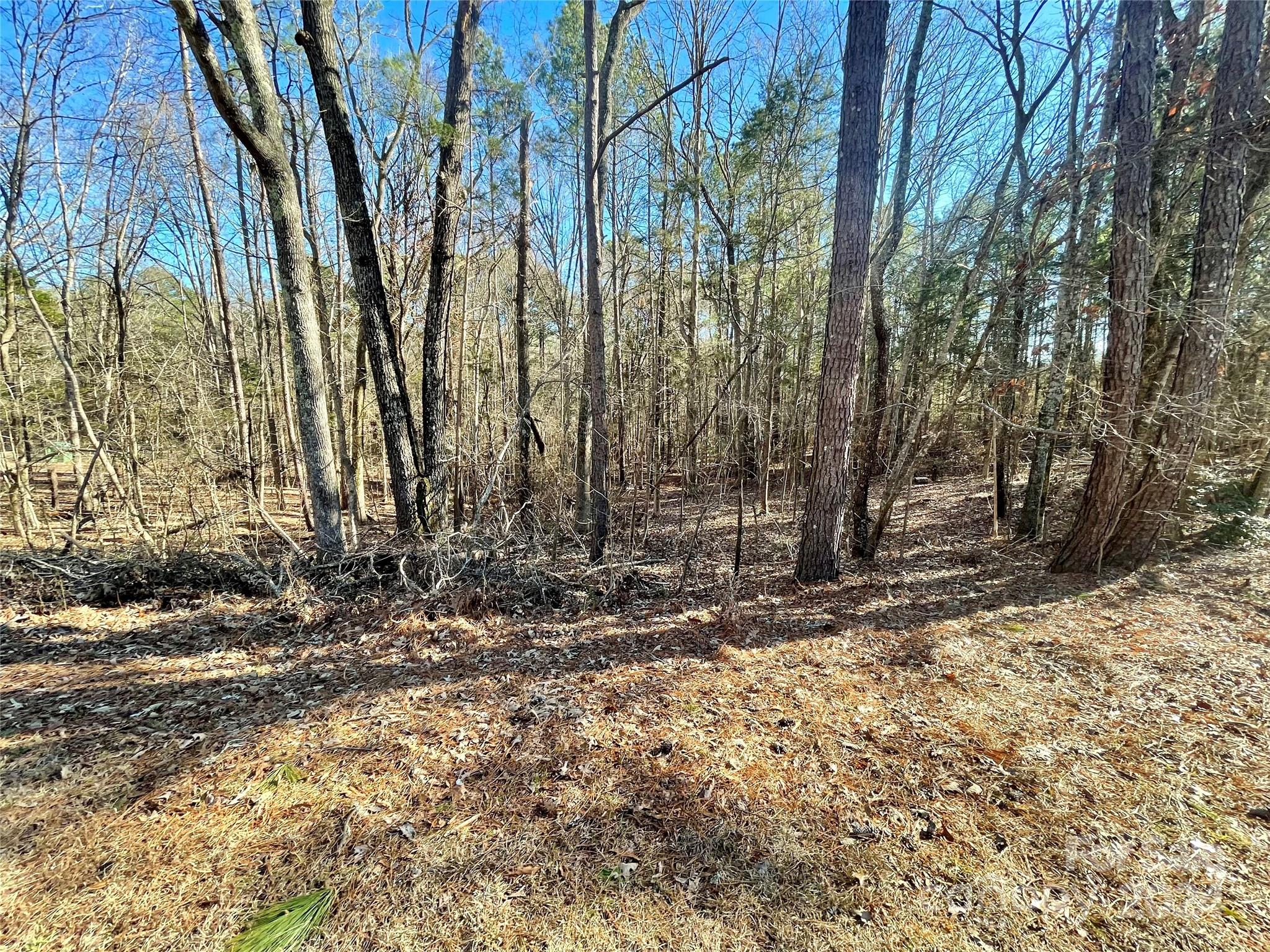 Lot 10 Rock Chimney Circle