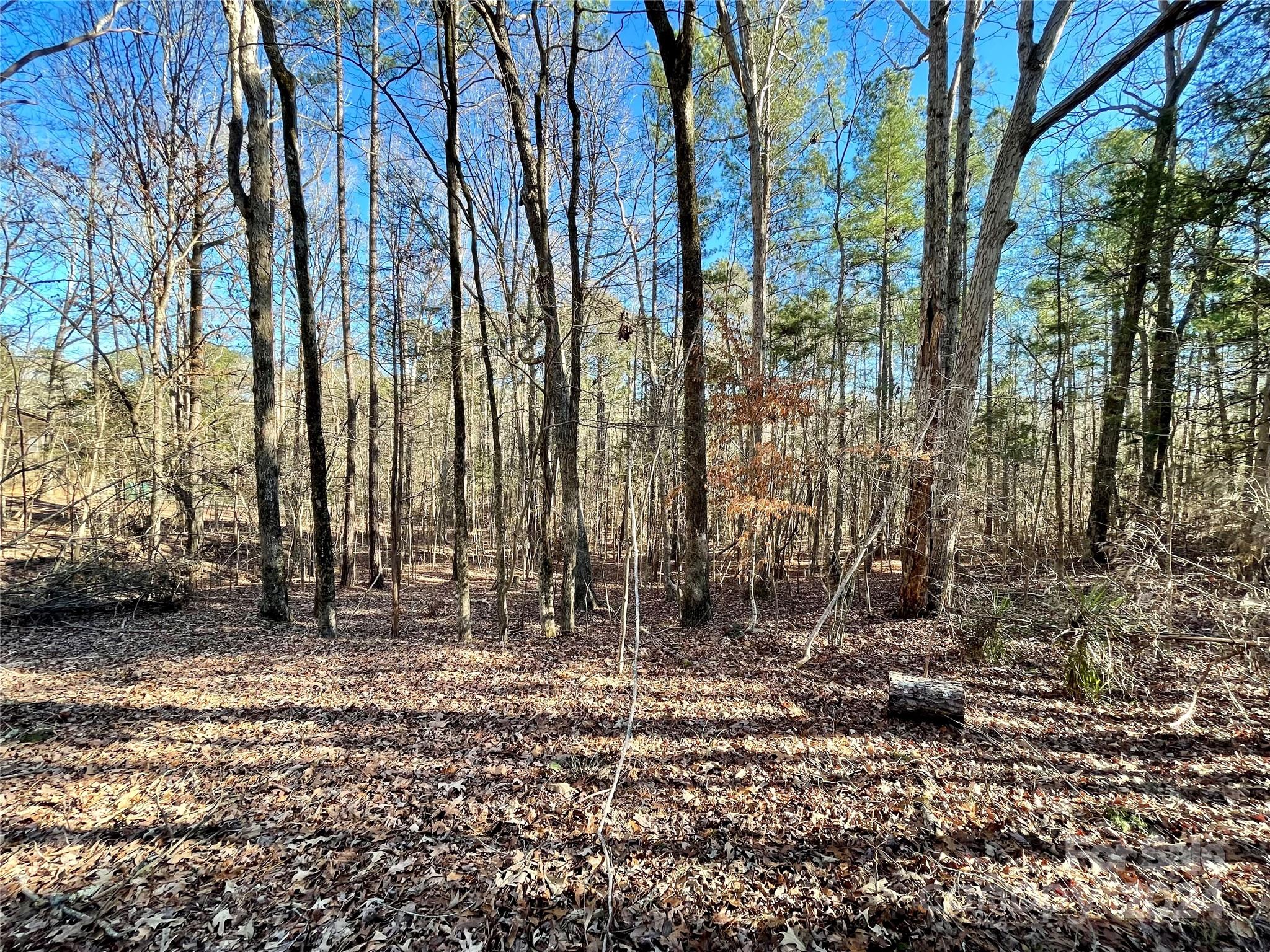 Lot 10 Rock Chimney Circle