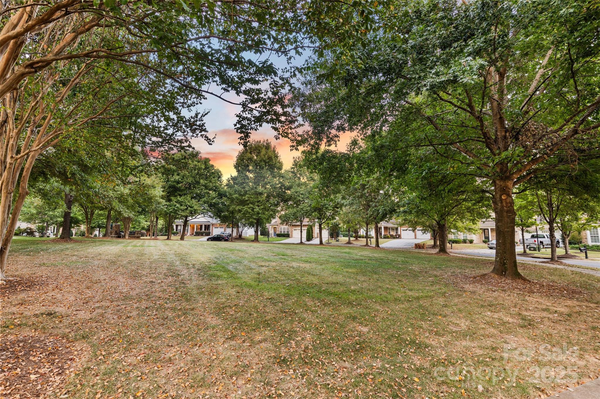 3005 Misty Moss Court