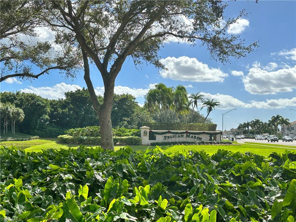 1952 Timarron WAY