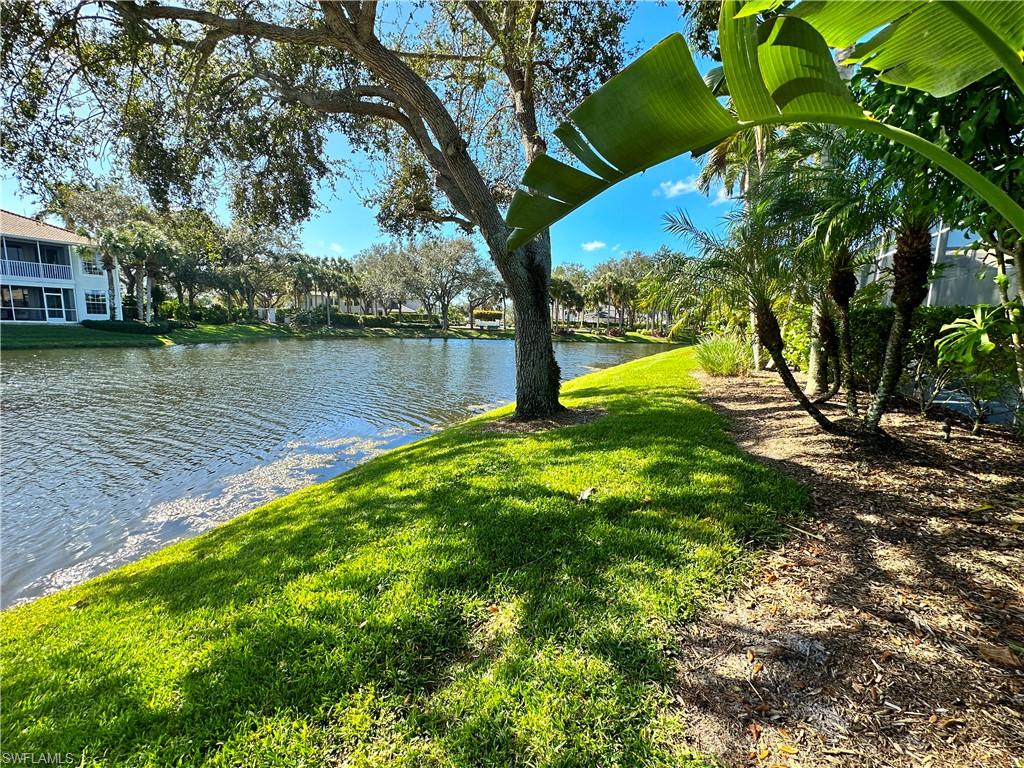 1952 Timarron WAY