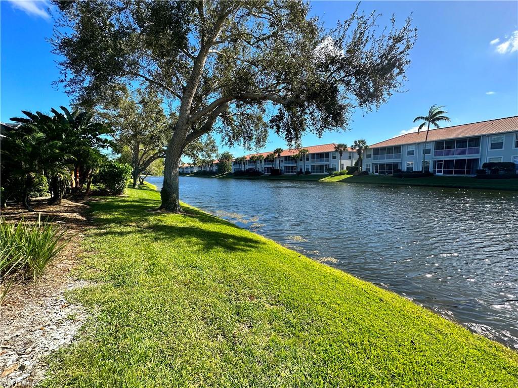 1952 Timarron WAY