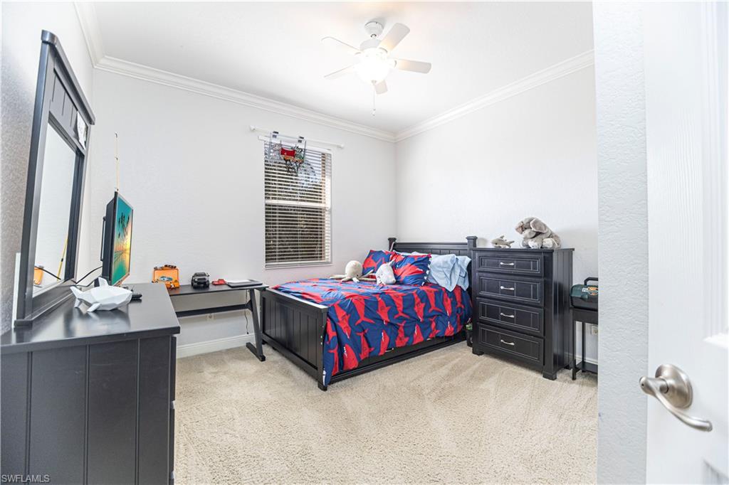 13755 Plati CT