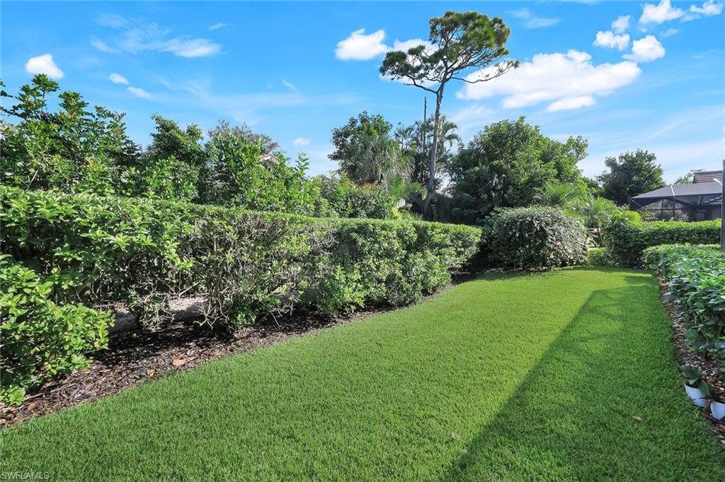 3500 Fiddlehead CT