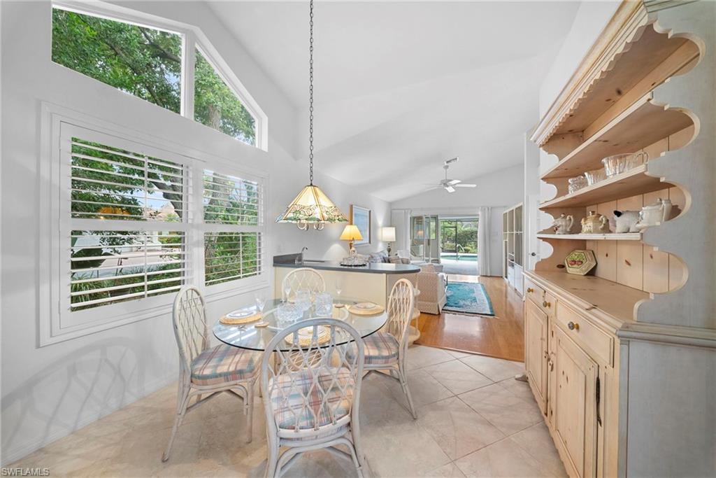 54 Grey Wing PT