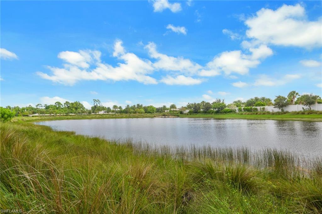 8790 Calypso CT