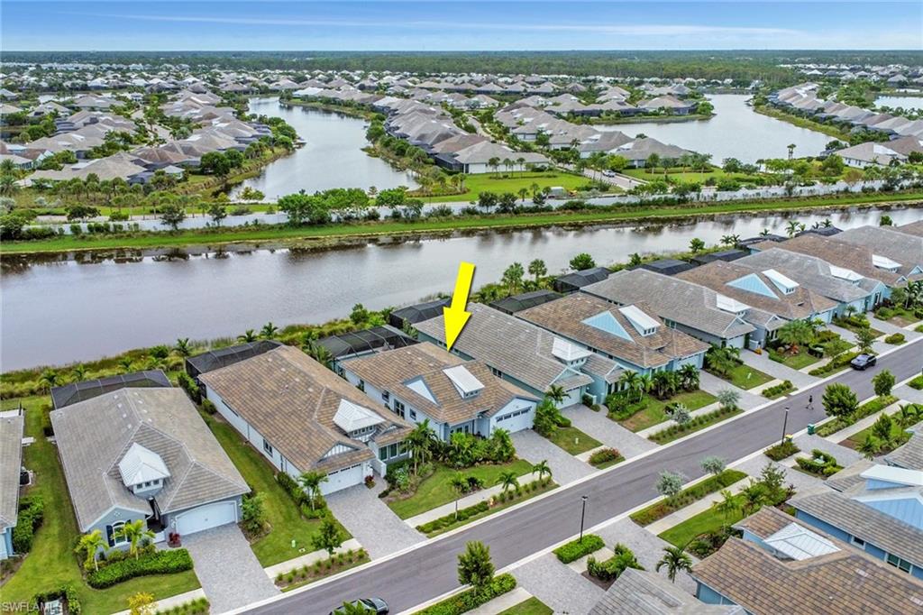 8790 Calypso CT