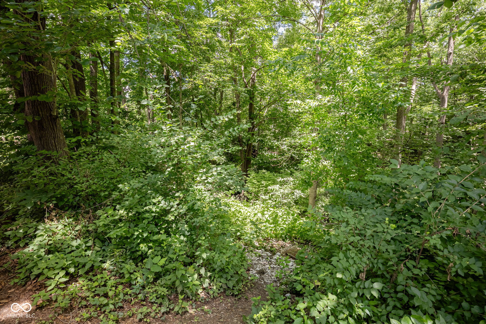 105 Butternut Court