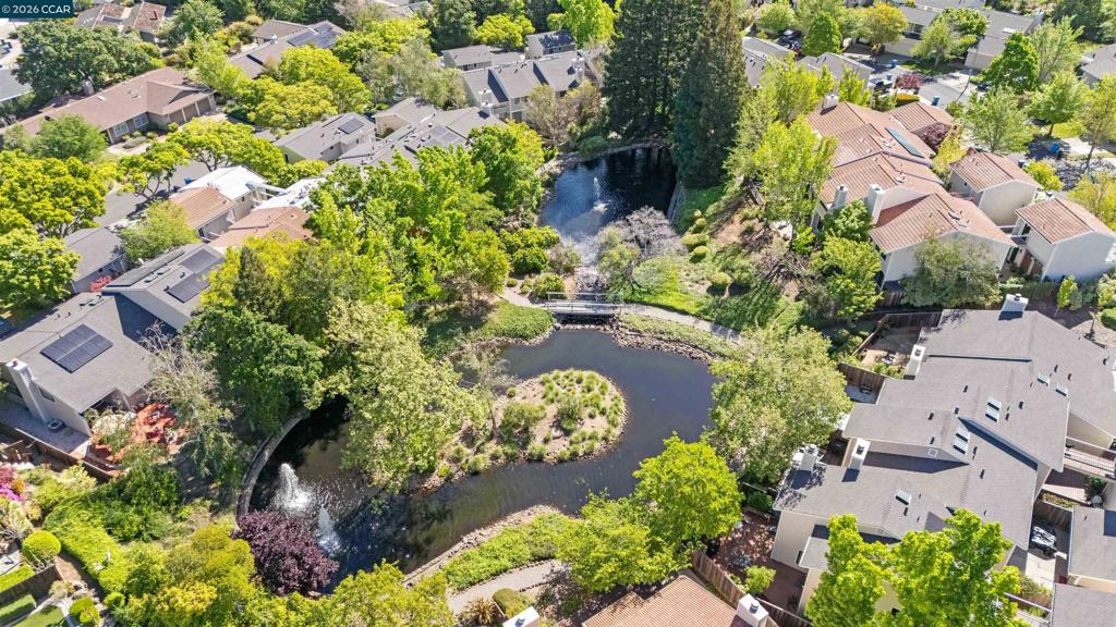 1085 Camino Verde Cir