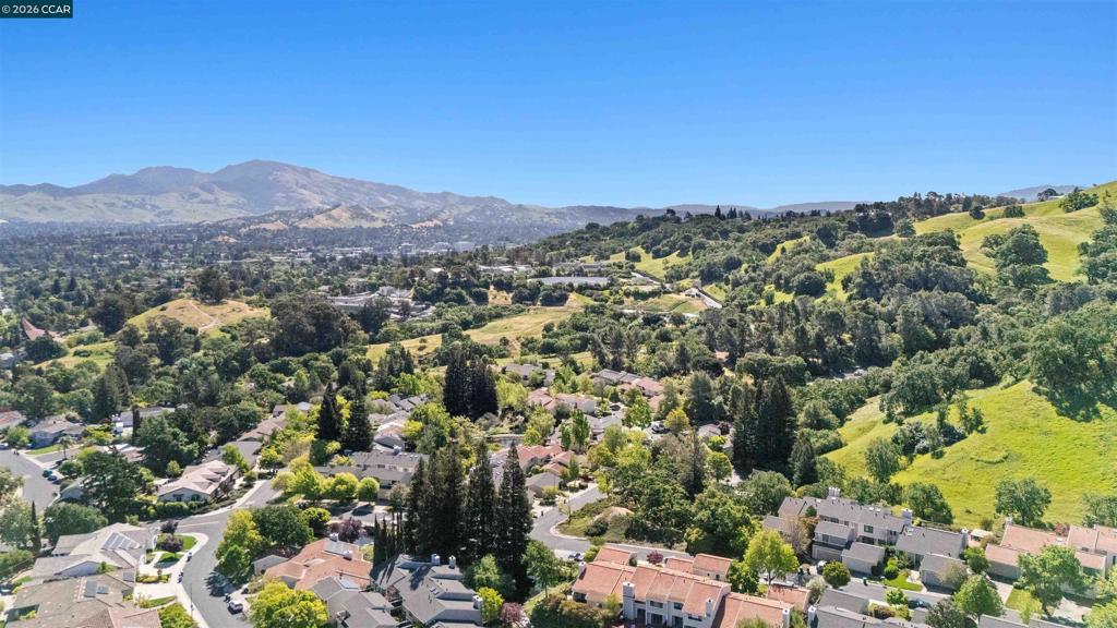 1085 Camino Verde Cir