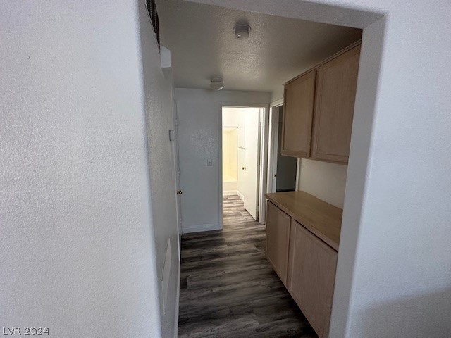 5104 Jordan Frey Street 101
