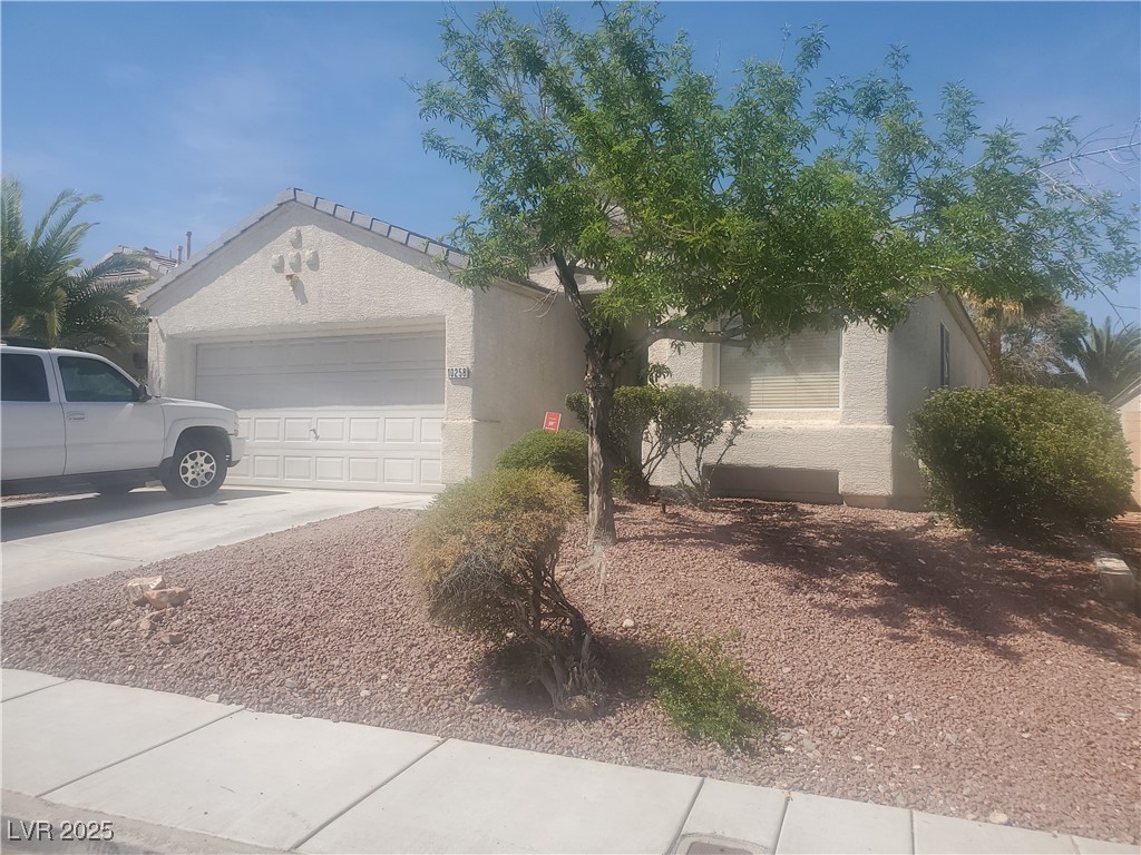 10258 Spider Rock Avenue