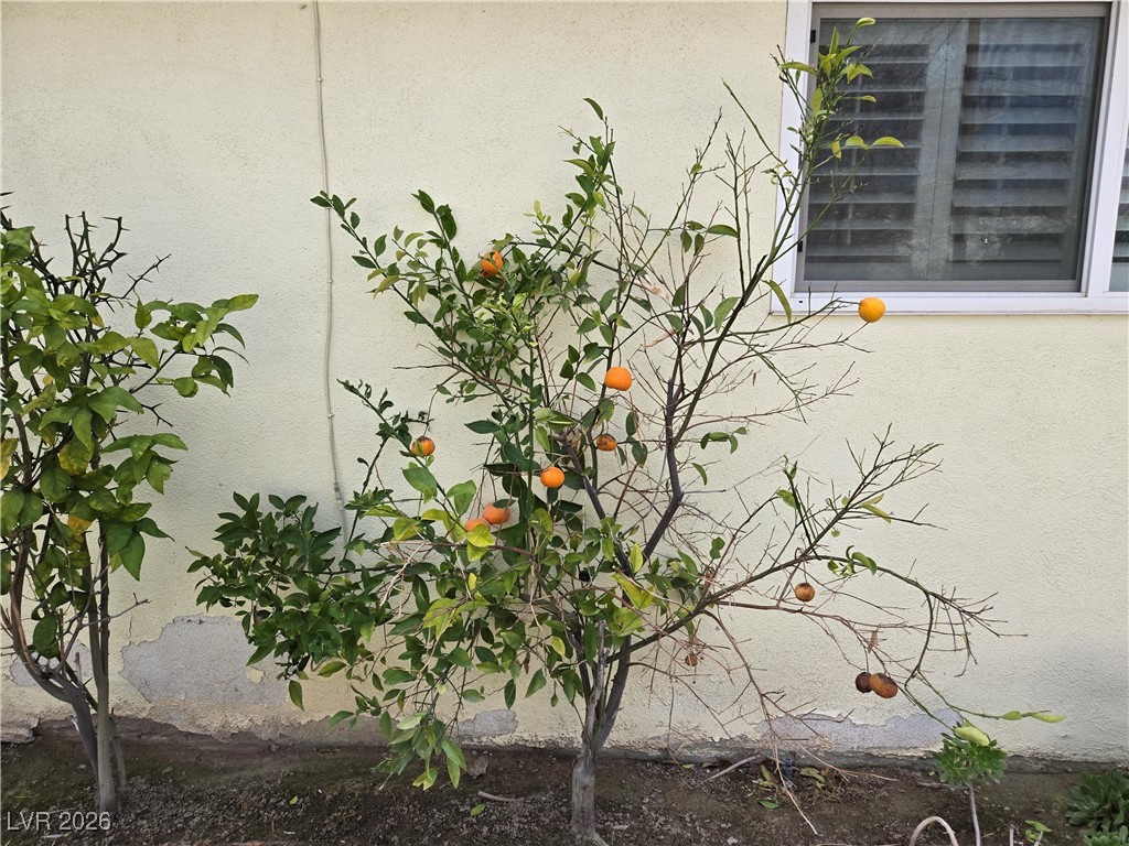 2706 Colanthe Avenue