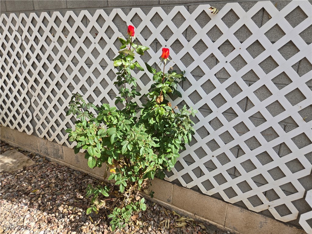 2706 Colanthe Avenue