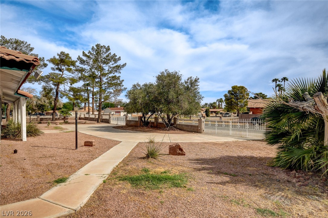 Gravel yard with a concrete walkway leading toward a metal gate, mature trees, and palms.