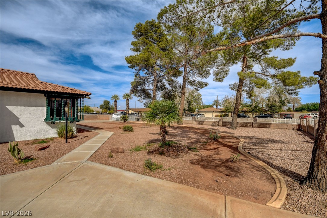 Desert-landscaped backyard with mature pine trees, gravel beds, and curved concrete walkways.