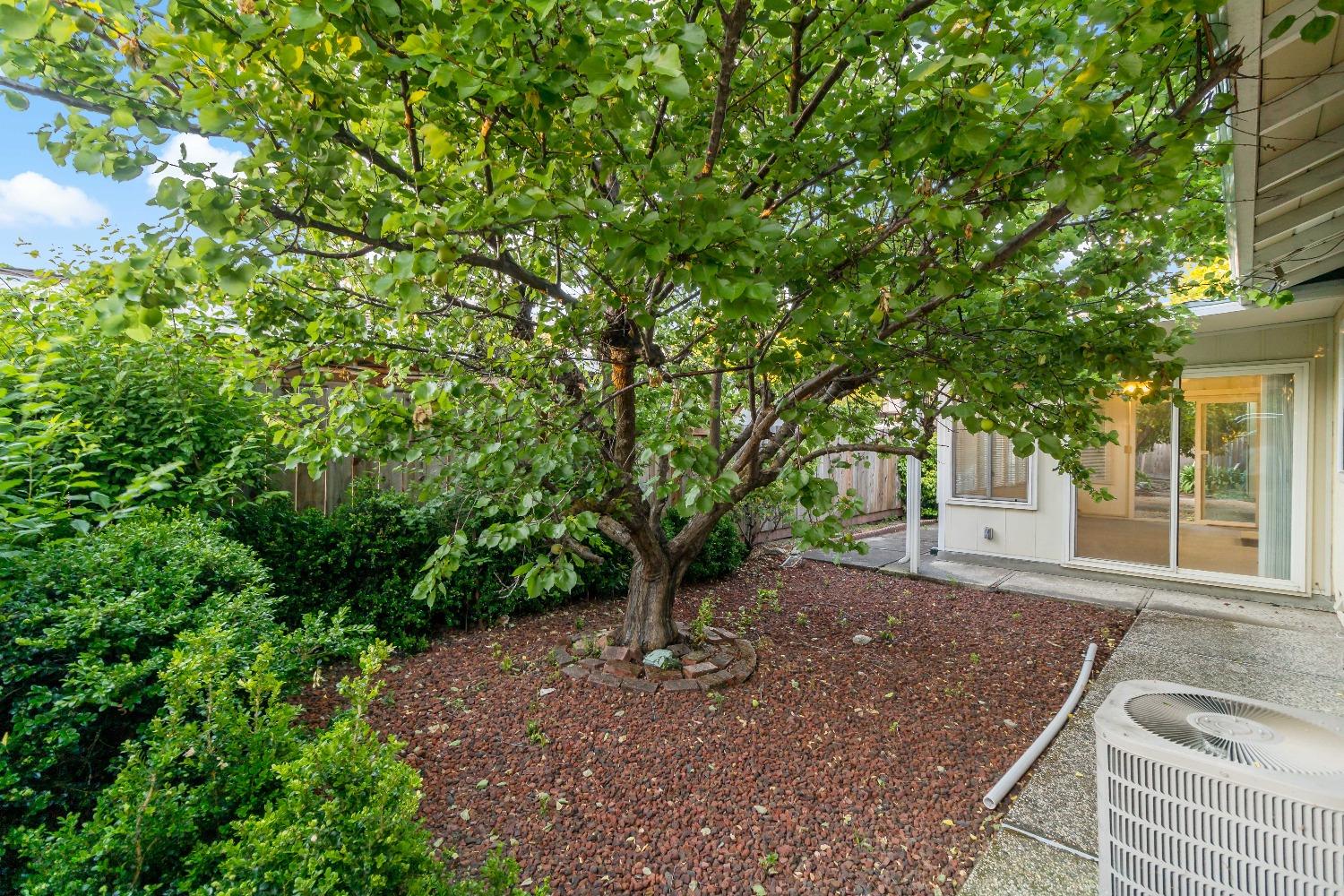 1211 1213 Normandy Way